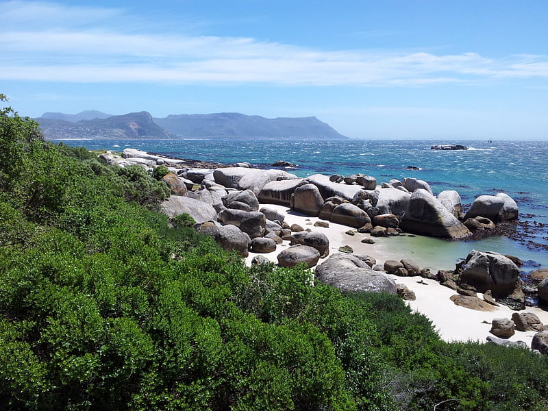 Boulders Beach, South Africa, boulders, cape, beach, simons town, south africa, HD wallpaper