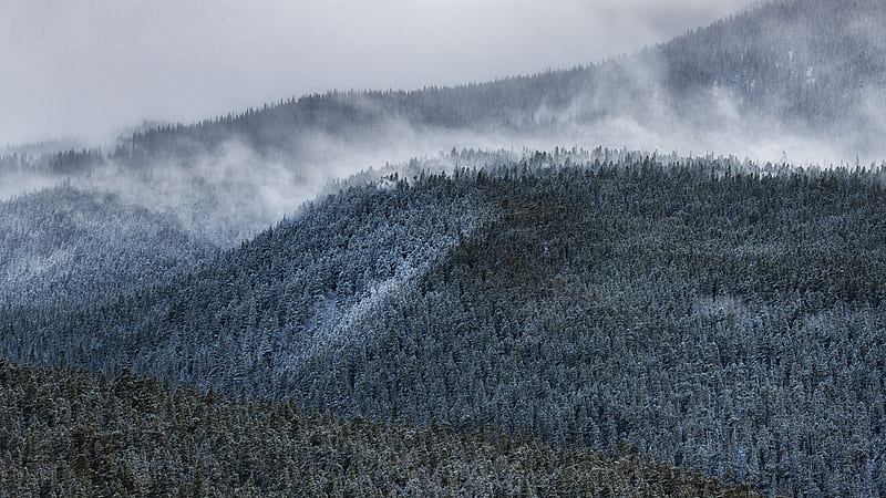 Foggy Forest Mountain, HD wallpaper