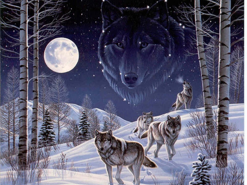 Akira Wolves Of The Mist Anime Wolf GIF - Akira wolves of the mist Wolves  of the mist Anime wolf - Discover & Share GIFs