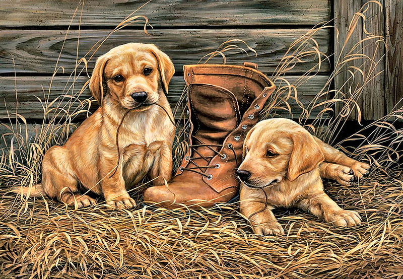 Something Old Something New - Dogs F, art, boot, bonito, pets, artwork, canine, animal, puppies, painting, wide screen, shoe, dogs, HD wallpaper