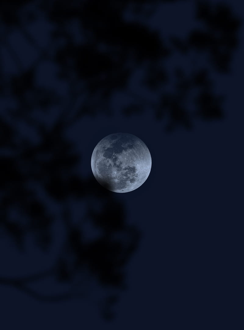 moon, full moon, night, darkness, HD phone wallpaper