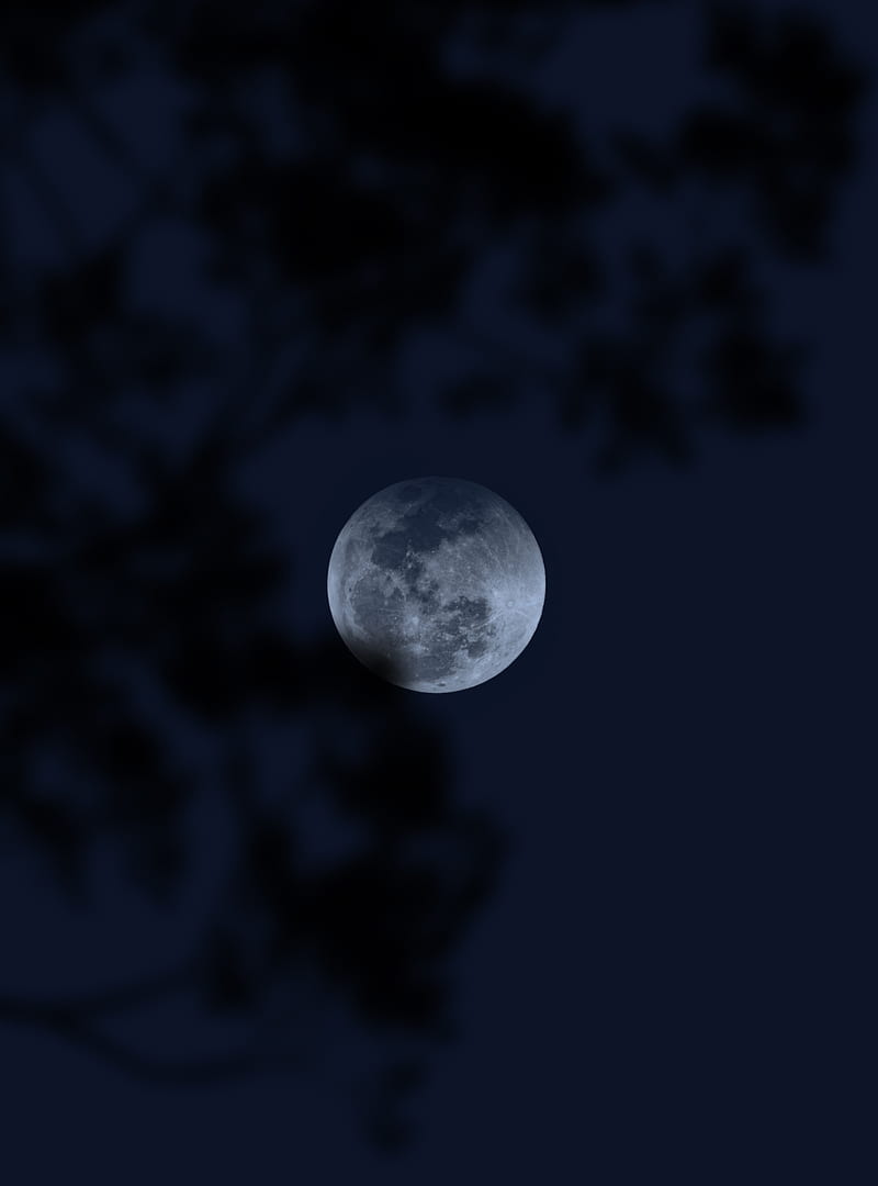 full moon night wallpapers