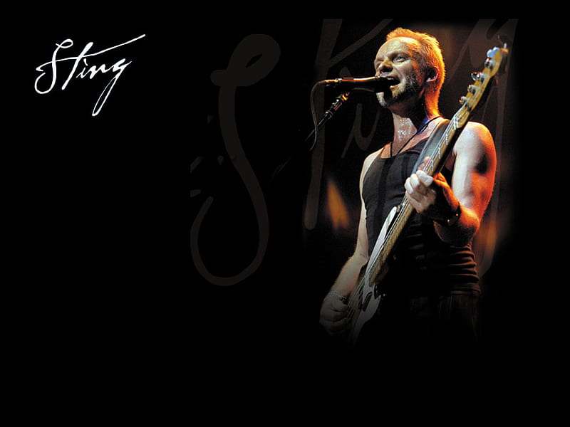 Sting, male, blond, people, singer, sexy, HD wallpaper