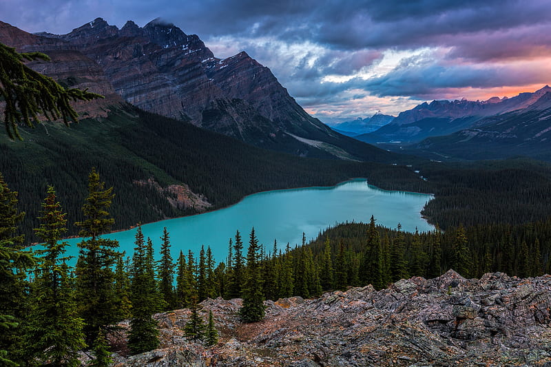 Lakes, Lake, Canada, Forest, Landscape, Mountain, Nature, Peyto Lake, HD wallpaper
