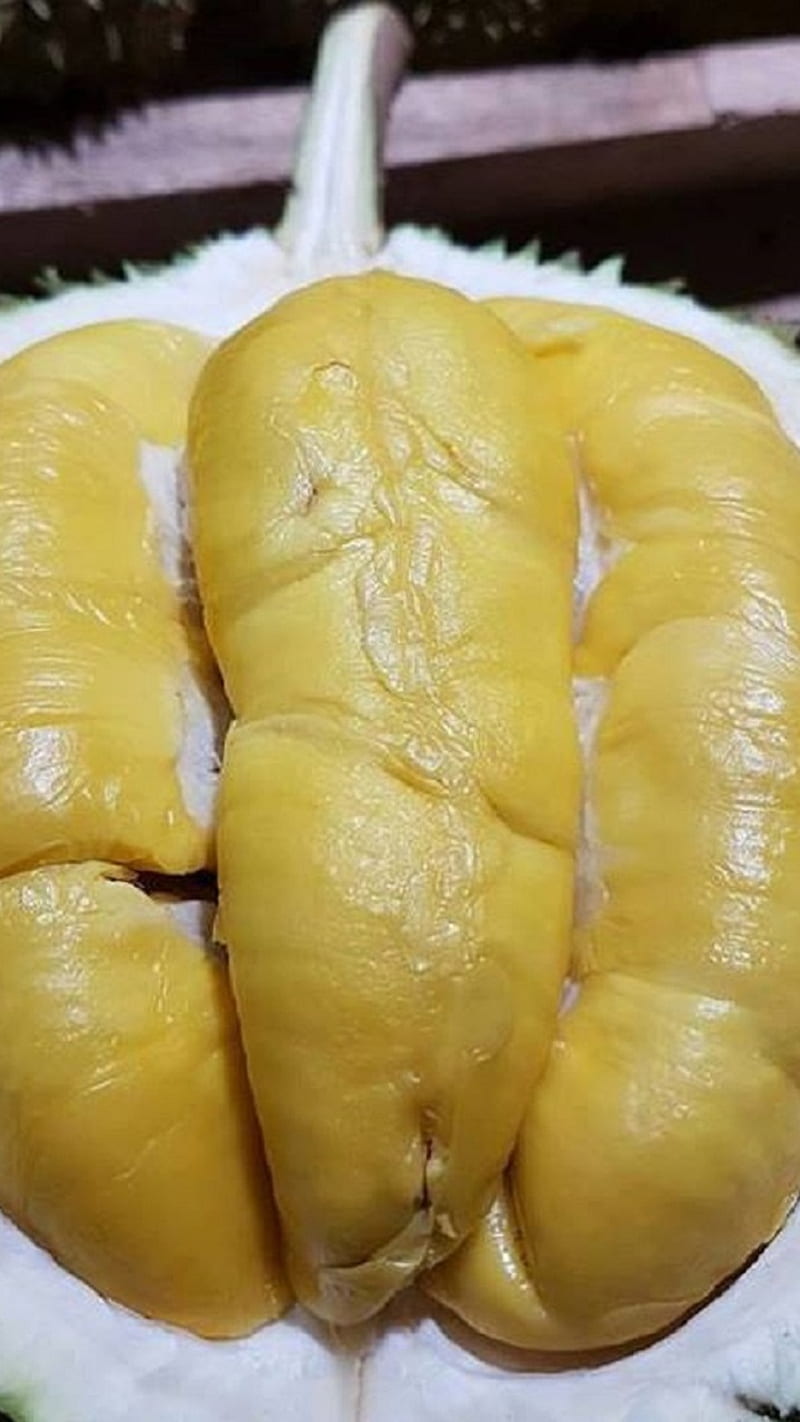 Durian, fruit, HD phone wallpaper