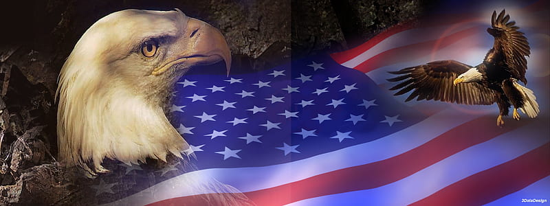 Flags, Bird, Eagle, Man Made, American Flag, HD wallpaper