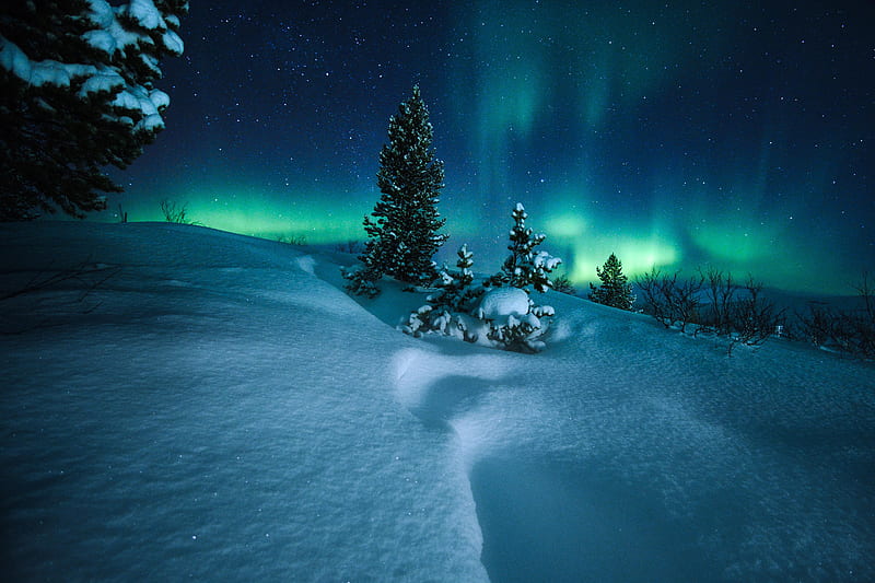 Northern Lights Arctic Circle Norway, northern-lights, nature, aurora, HD wallpaper