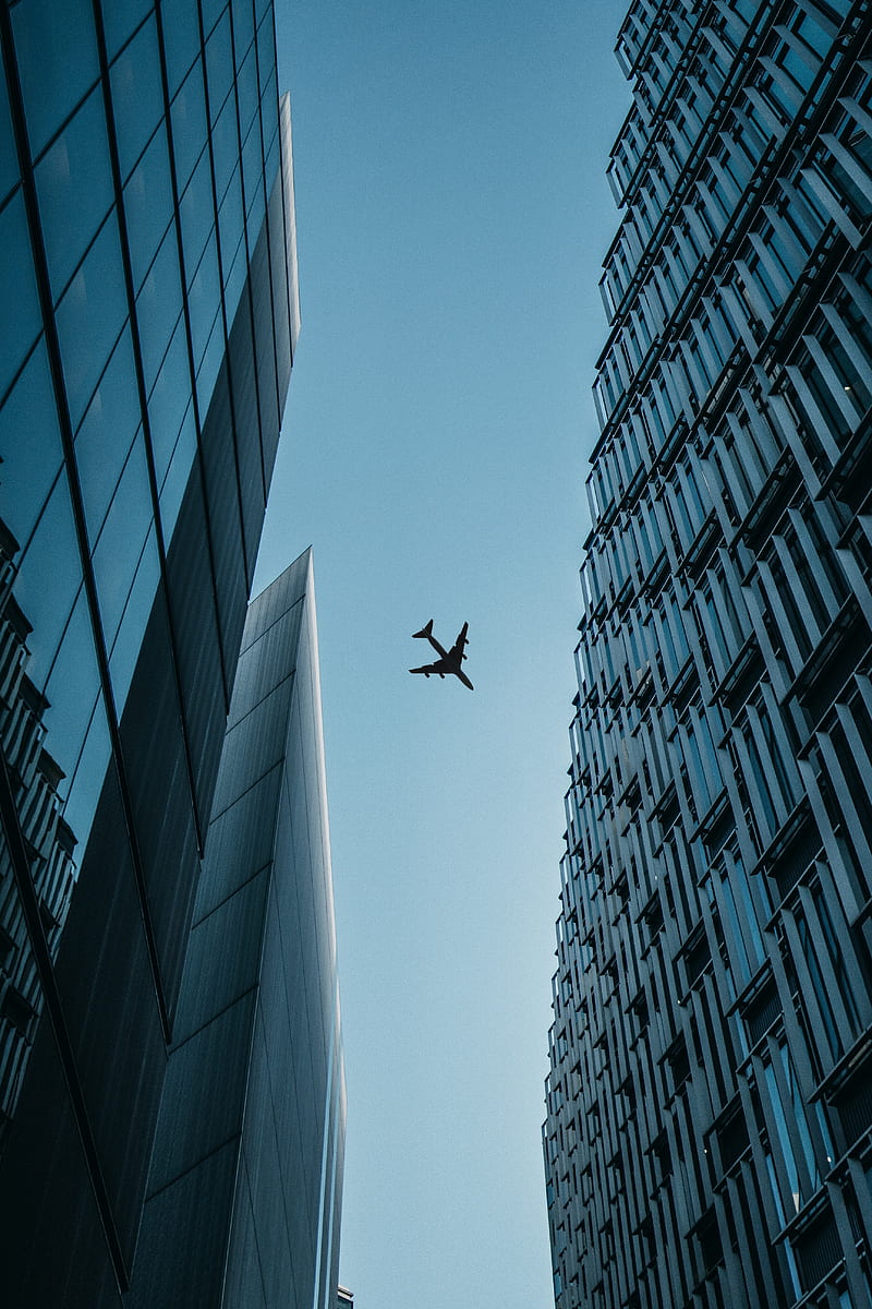 buildings, plane, sky, bottom view, HD phone wallpaper