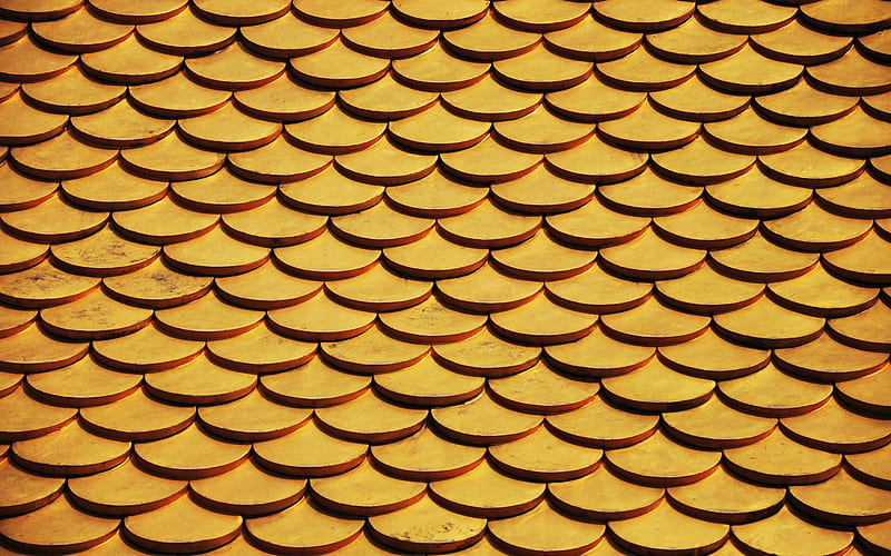 yellow scales macro, scales texture, abstract background, scales, yellow backgrounds, HD wallpaper