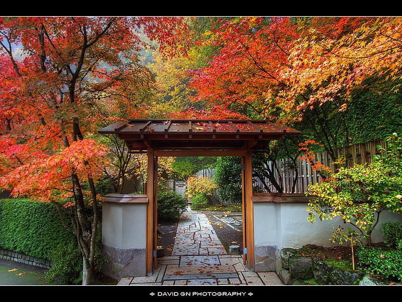 JANPAN IN THE FALL, architecture, fall, japan, house, HD wallpaper | Peakpx