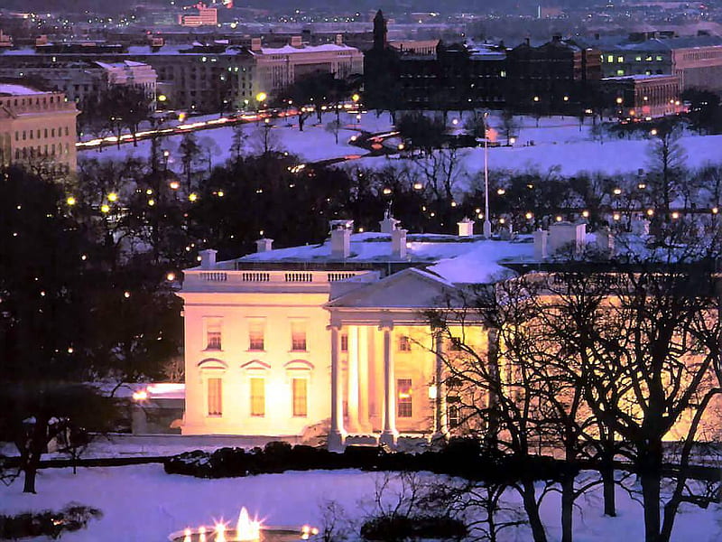 The white house, white house, usa, washington, president, america, residence, HD wallpaper