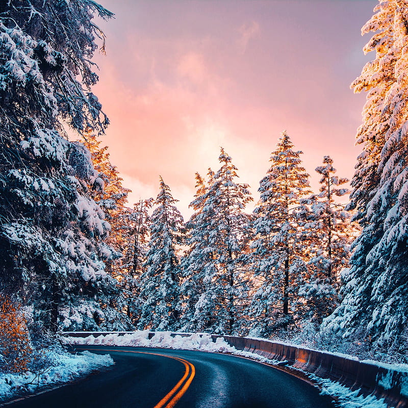 road, trees, snow, sunset, turn, HD phone wallpaper
