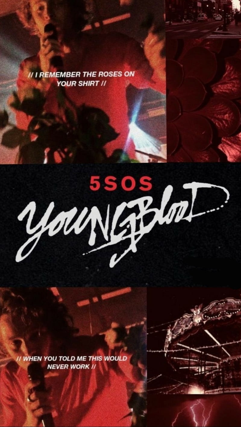 Youngblood, 5sos3, 5 seconds of summer, hemmings, hood, clifford, irwin, drums, bass, guitar, HD phone wallpaper
