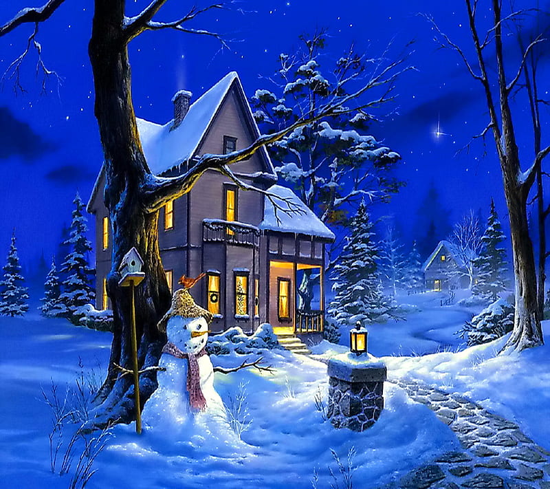 Christmas Night, eve, house, merry, snow, winter, HD wallpaper