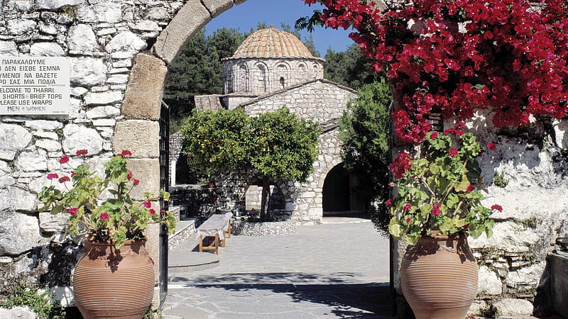 lemon tree in a church courtyard in rhodes greece, flowers, tree, courtyard, church, HD wallpaper