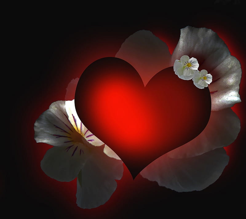 2160x1920px, black and red, flowers, heart, love, valentines day, HD wallpaper