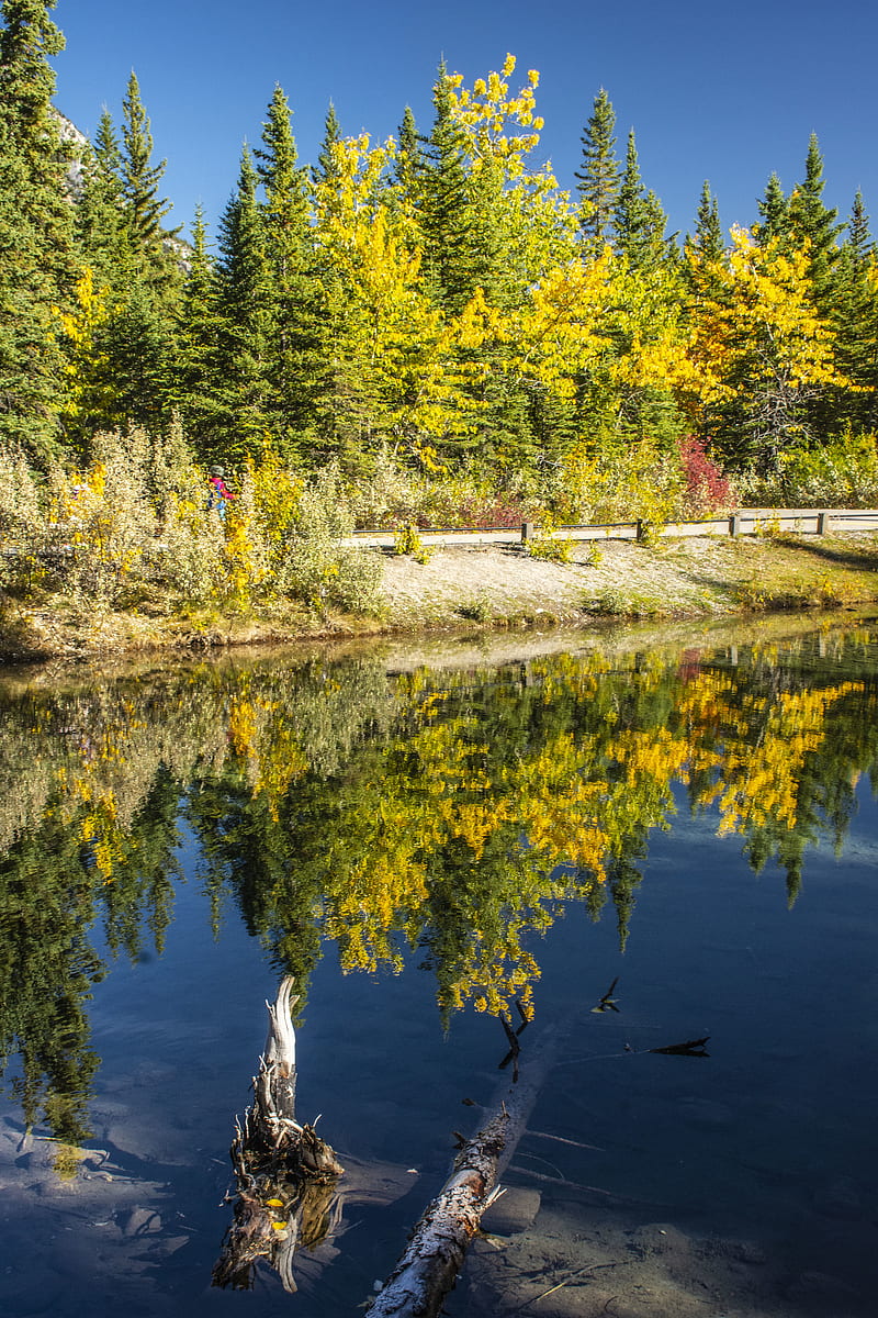 autumn, trees, lake, water, reflection, HD phone wallpaper