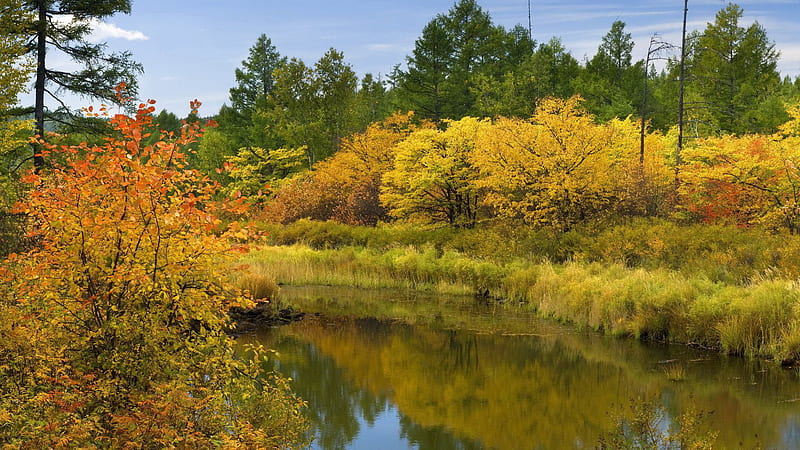 River Between Autumn Fall Leaves Trees Under Blue Sky Reflection On ...