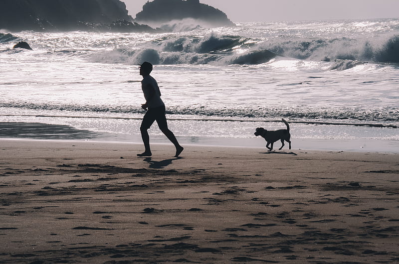 silhouette of man walking on beach shore with dog, HD wallpaper
