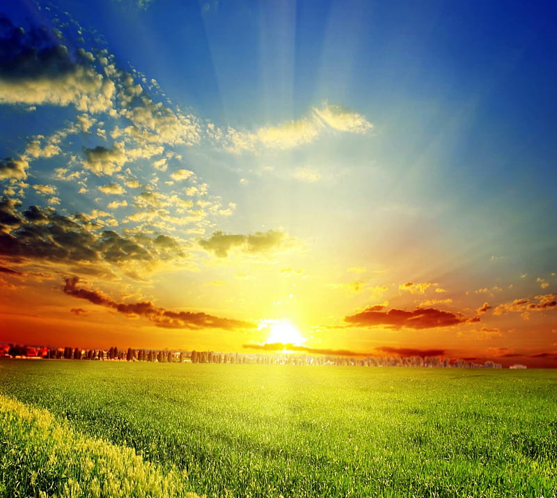 Sunny Day, clouds, field, landscape, nature, sun, HD wallpaper