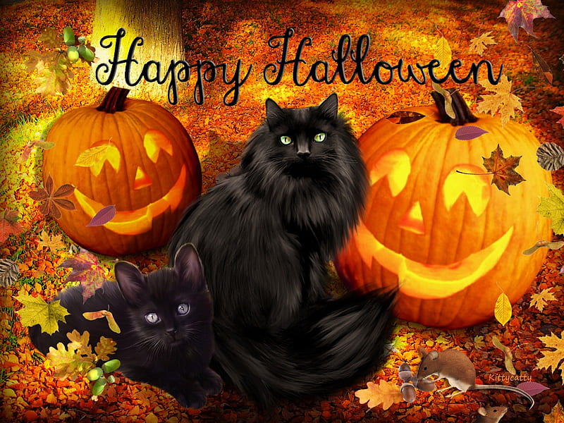 ☻Cute Halloween Cats☻ , forest, fall, autumn, mice, cat, black cats, happy Halloween, cute, tree, leaves, pumpkin, mouse, Halloween, cats, HD wallpaper