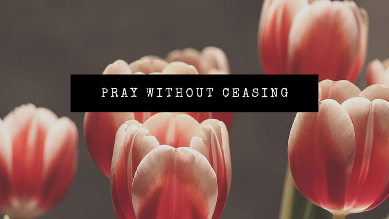 Pray Without Ceasing Jesus, HD wallpaper