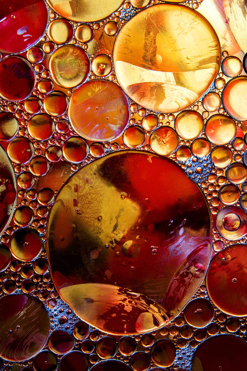 bubbles, liquid, circles, macro, close-up, HD phone wallpaper