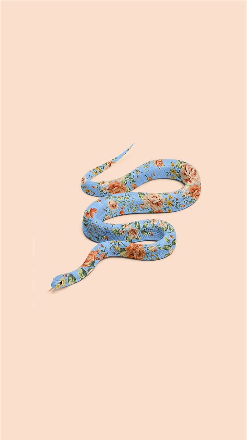 Black Snake iPhone Wallpapers  Top Free Black Snake iPhone Backgrounds   WallpaperAccess