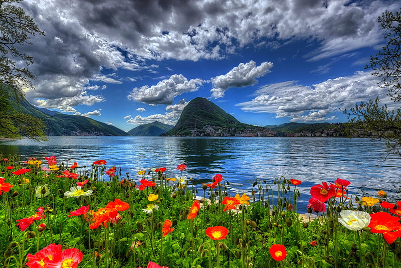 Scenery of Switzerland nature, view, bonito, Switzerland, sky, clouds, lake, mountain, flowers, reflection, scenery, HD wallpaper