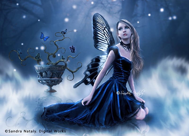The Butterfly's Queen, fantasy, butterfly, queen, lady, blue, HD wallpaper