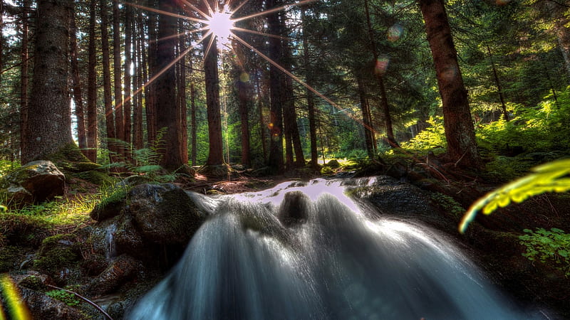 Forest Waterfalls, forest, sun, rays, waterfall, nature, trees, light ...