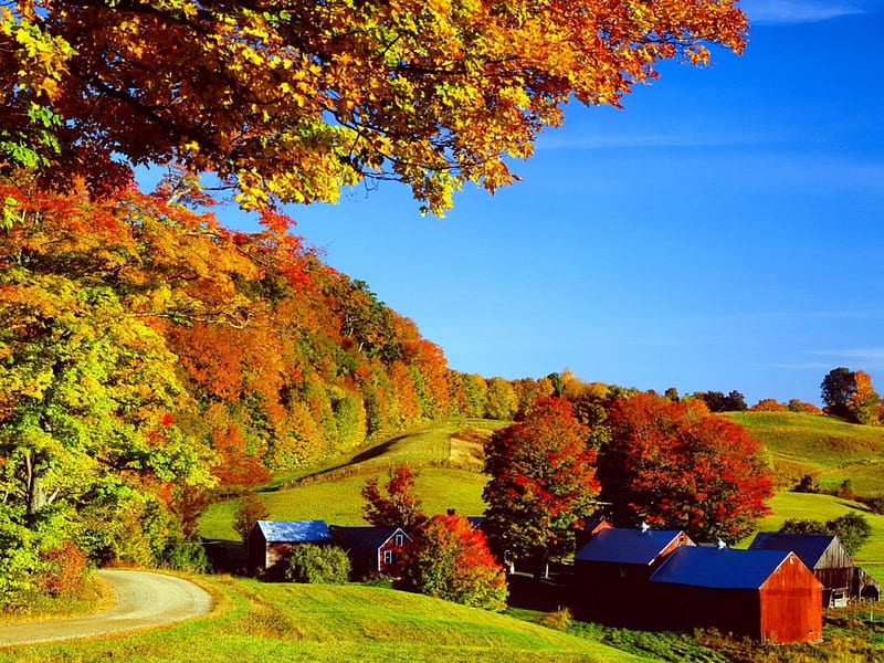 Autumn village, hills, colorful, fall, autumn, houses, colors, bonito ...
