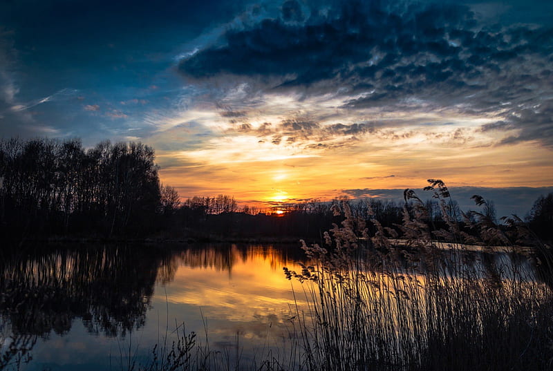 Evening Sunset, forest, sun, colors, reets, trees, clouds, sky, lake ...