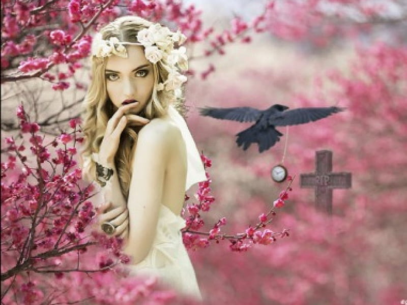*, flower tree, bird, pocket watch, flowers, crow, women, jewelry, HD wallpaper