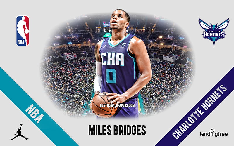Miles Bridges, Charlotte Hornets, American Basketball Player, NBA, portrait, USA, basketball, Spectrum Center, Charlotte Hornets logo, HD wallpaper