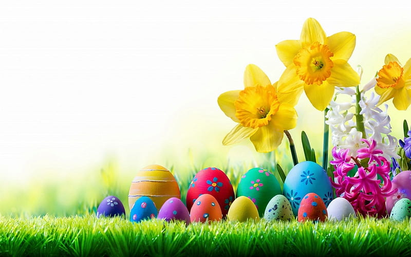 Easter Greetings, eggs, blossoms, flowers, daffodils, HD wallpaper