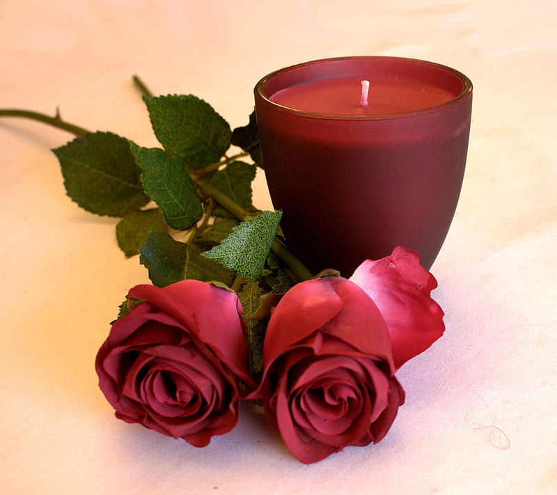 Roses And Candle, candles, love, romance, HD wallpaper