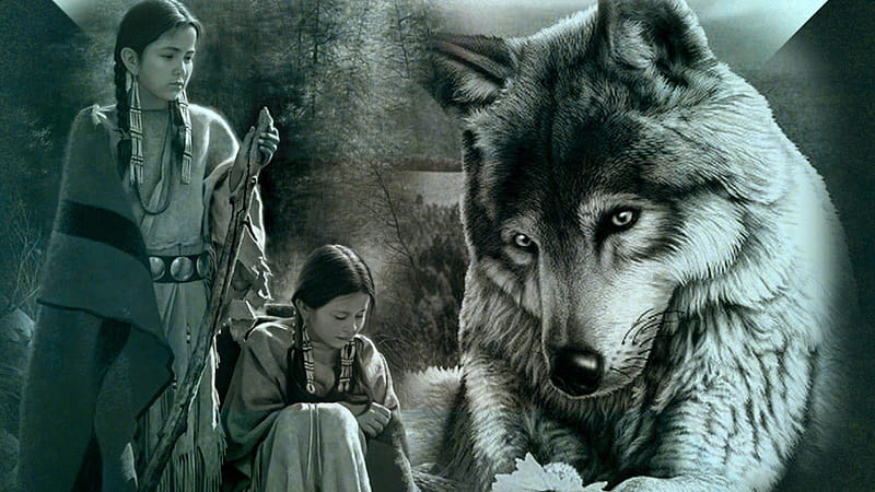Long, Long Ago, An Indian Band Belonging To The Wolf Clan Lived On The Shores Of Tsla A Wat, An Inlet. Native American Wolf, Native American Wolf Art, Indian Wolf, HD wallpaper