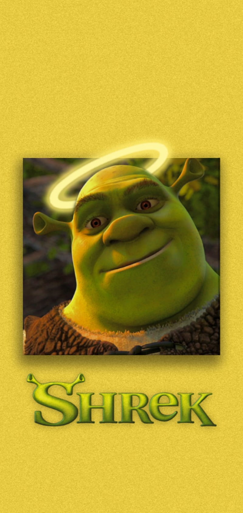 Shrek love, aesthetic, espitual, hollywood, humor, peliculas, HD phone wallpaper