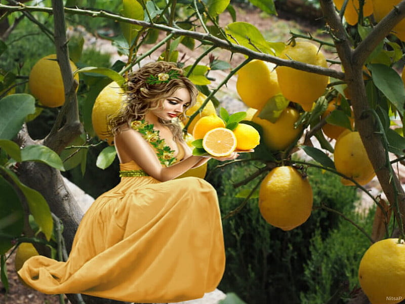 Trees with lemons, colour, trees, girl, Green, yellow, HD wallpaper