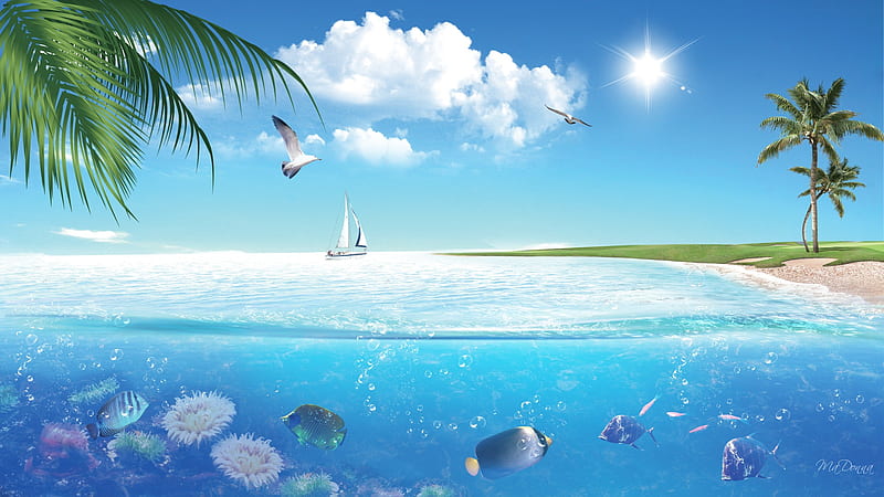 Under the Beautiful Sea, sun, fish, ocean, birds, firefox persona, sky, clouds, palm trees, sea, sailboat, HD wallpaper