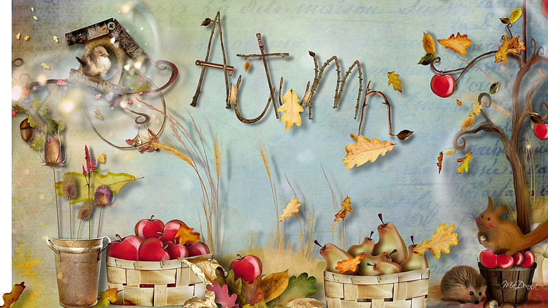 Autumns Best things, fall, rabbit, possum, bucket, apple tree, falling leaves, thistles, pears, leaves, bird, HD wallpaper