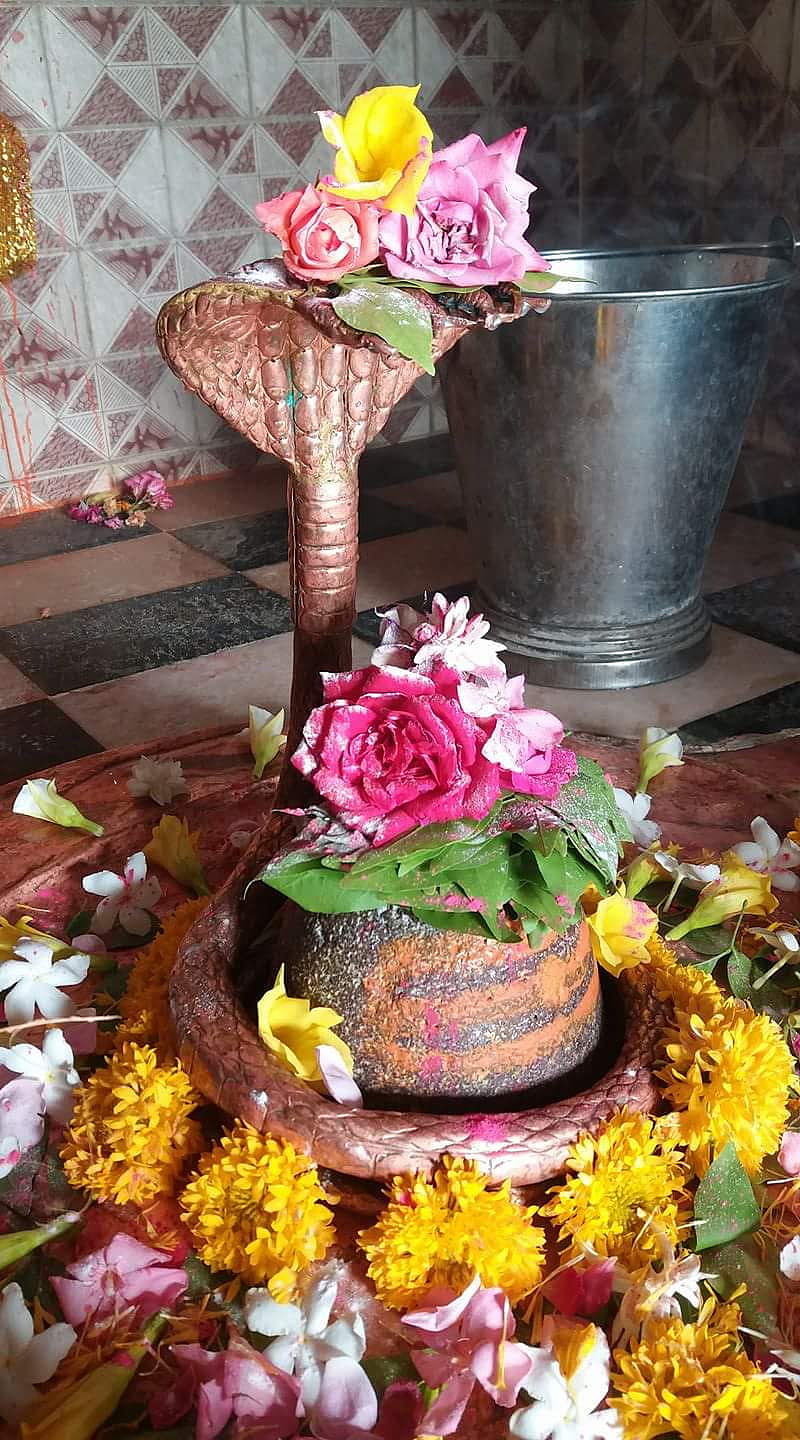 Mahadev shivay shiva, happy, birtay, happy birtay cupcake, cactus, lotus, wine, HD phone wallpaper