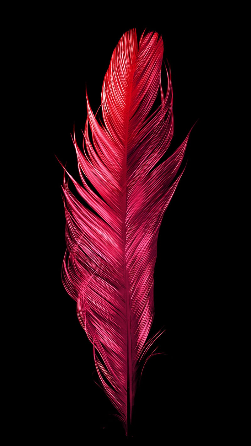 Red Bird, Electric, amoled, art, feather, minimal, oled, organic, shiny, true black, vibrant, HD phone wallpaper