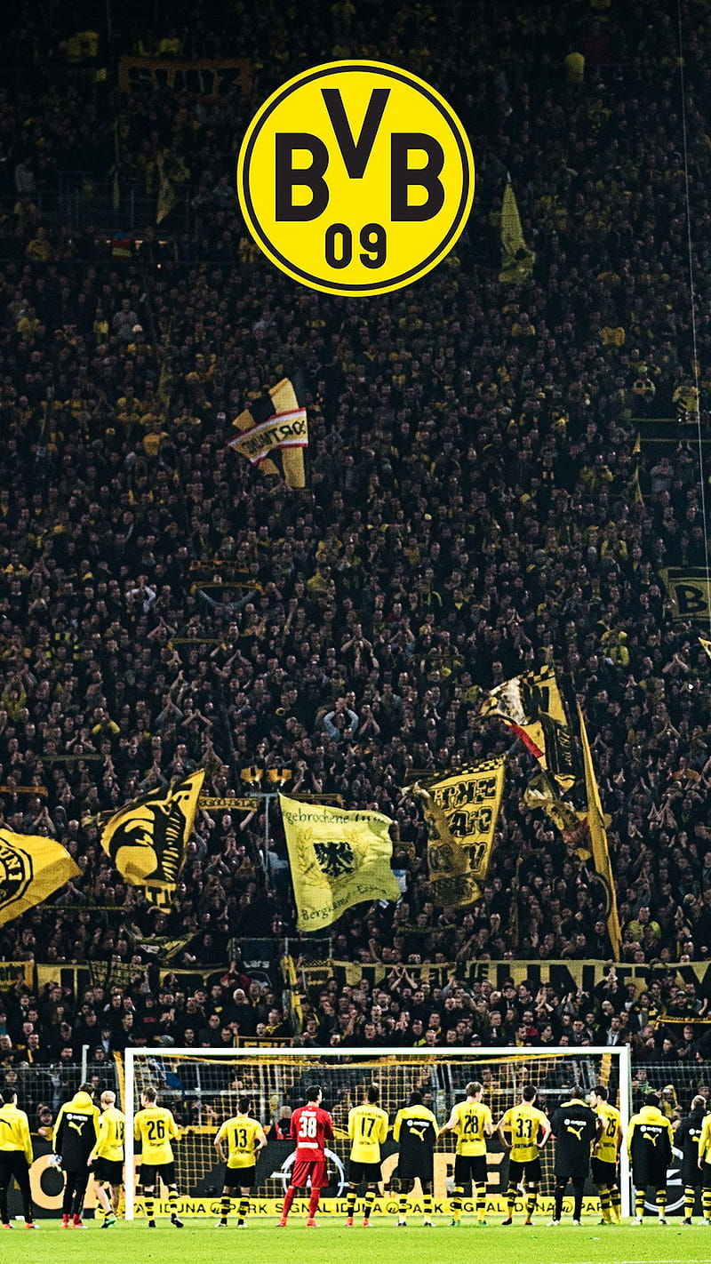 Borussia Dortmund Logo, Borussia Dortmund Stadium, HD phone wallpaper