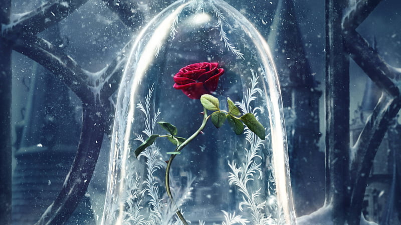 Beauty And The Beast Original , beauty-and-the-beast, 2017-movies, rose, HD wallpaper