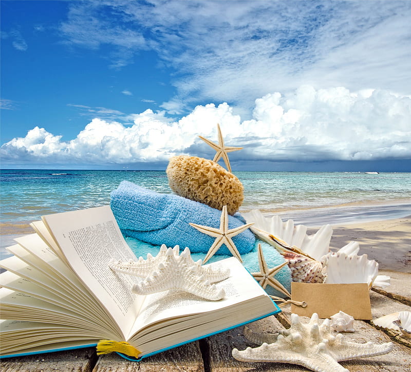 Summer Vacation, beach, vacation, summer, shells, sea, HD wallpaper | Peakpx