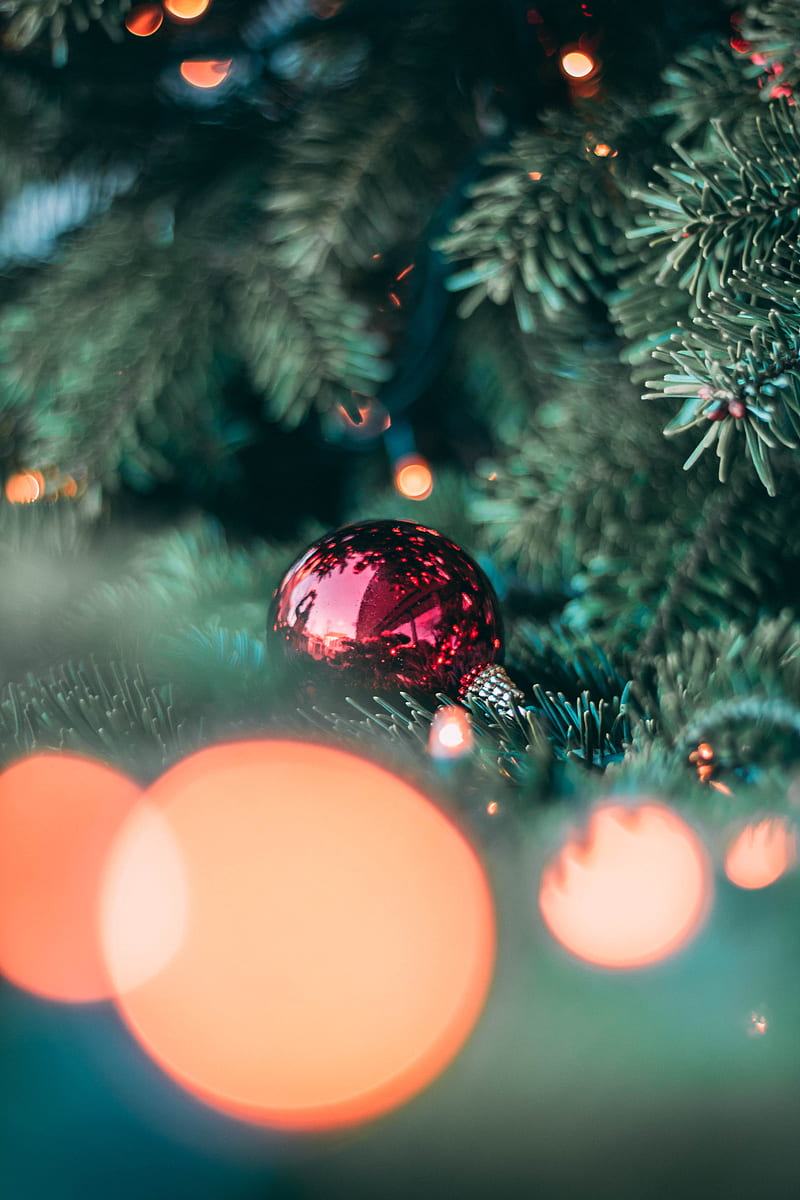 Tết Noel sắp đến, hãy tô điểm cho ngôi nhà của mình với những đồ trang trí Giáng sinh màu đỏ sặc sỡ. Hãy xem các bức ảnh về trang trí nhà cửa để tìm cho mình một ý tưởng phù hợp nhất.