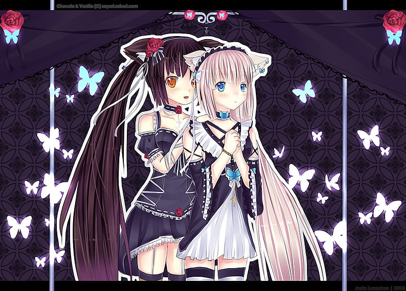 Catgirls Chocola & Vanilla, chocola and vanilla, rose, two girls,  thighhighs, HD wallpaper