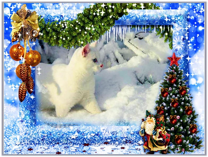 Christmas Cat, santa, xmastree, snow, artwork, winter, HD wallpaper ...